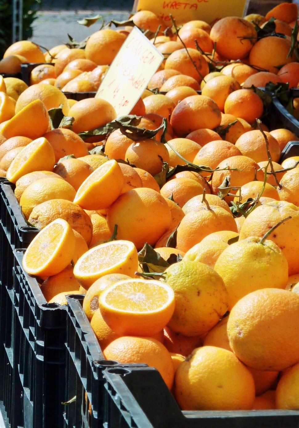 Dr Thomas Levy: Vitamin C & The Great Suppression