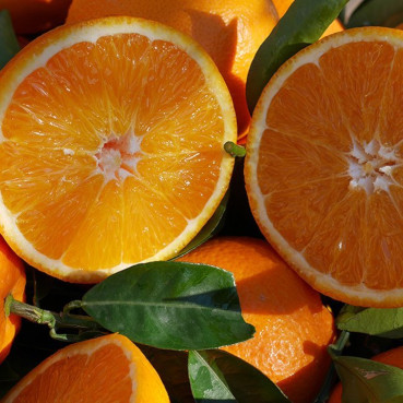 High Dose Vitamin C Therapy for Major Diseases