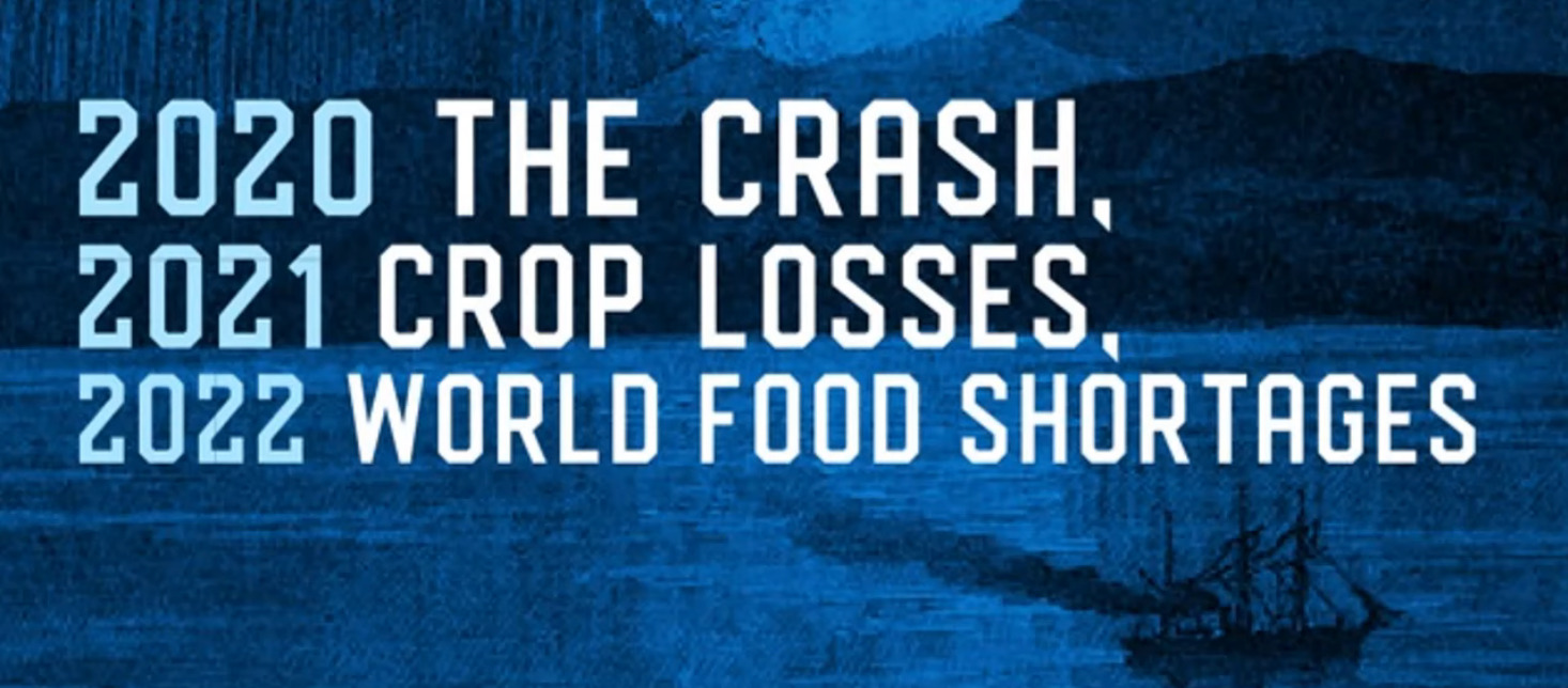 Food Strangeness Happening Around the World
