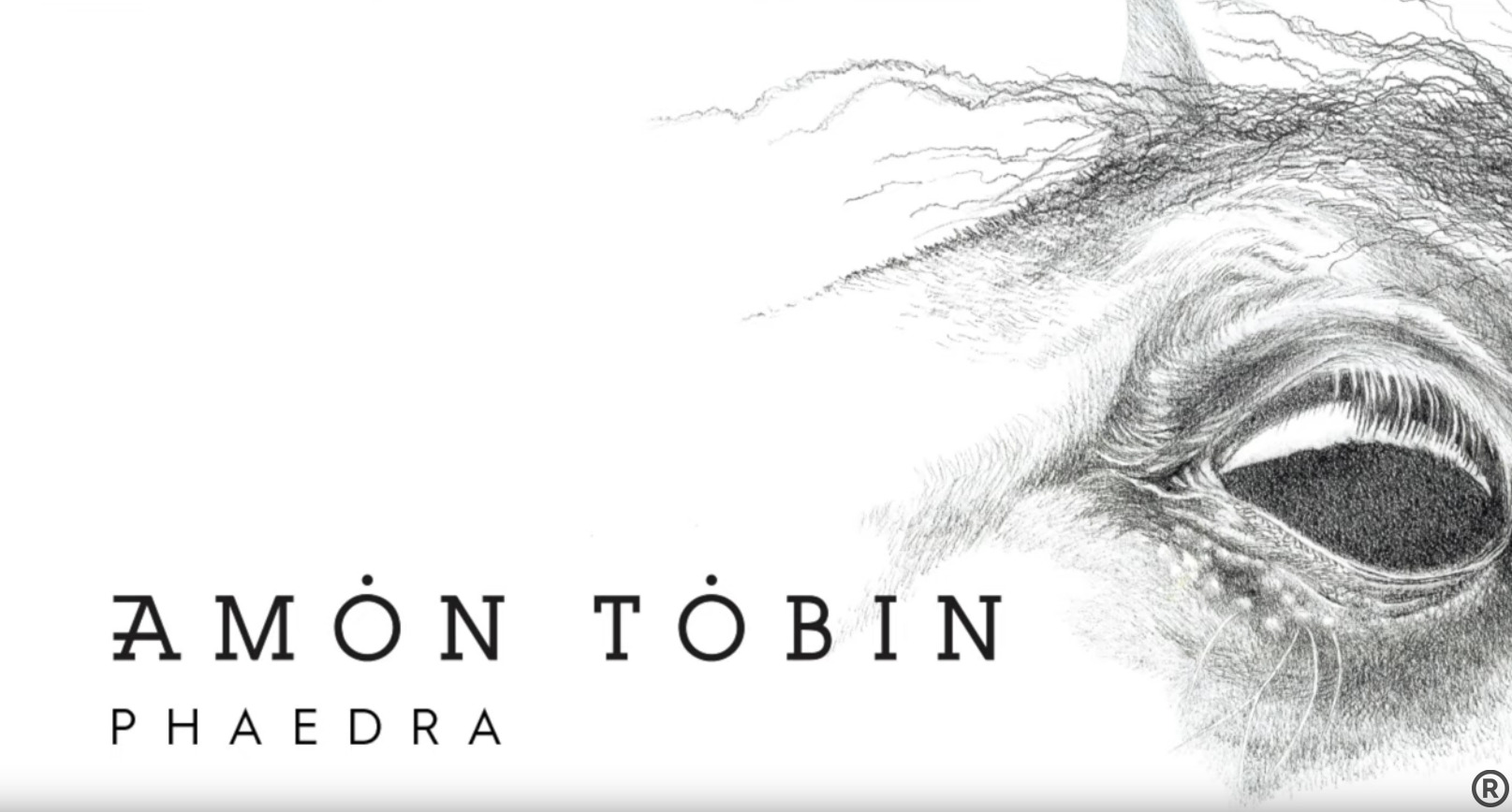 Amon Tobin – Phaedra