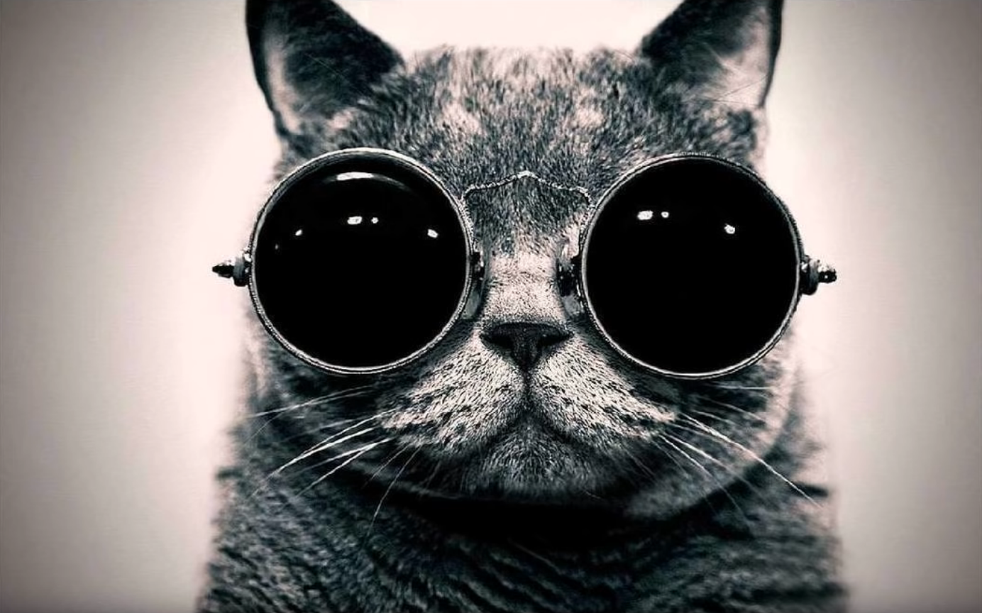 Gramatik – Muy tranquilo (DJ Vitamin D re-edit)