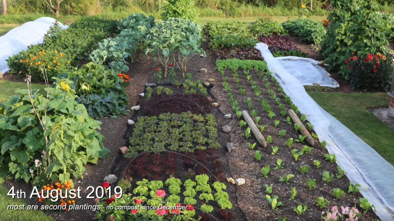Grow your own health