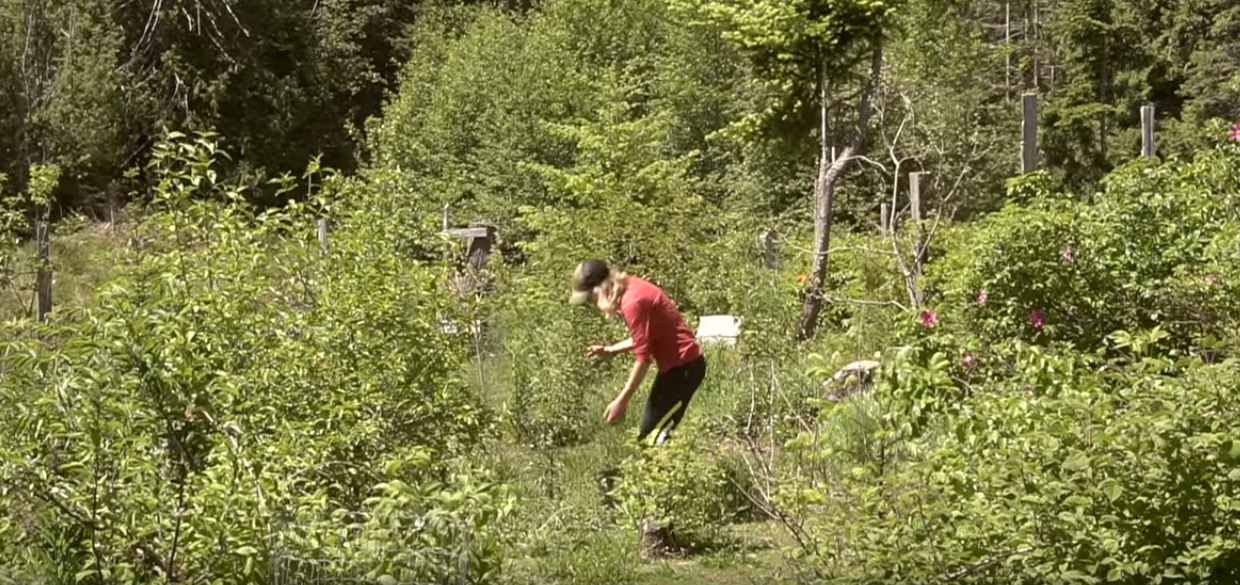 13 Years Living Off the Land – Man Shares REAL Homestead Experience