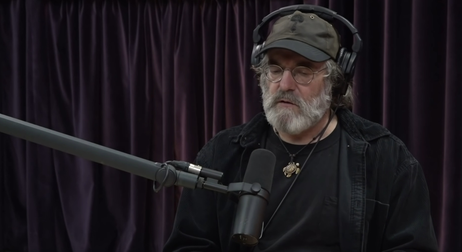 The Benefits of Micro-dosing Mushrooms w/Paul Stamets