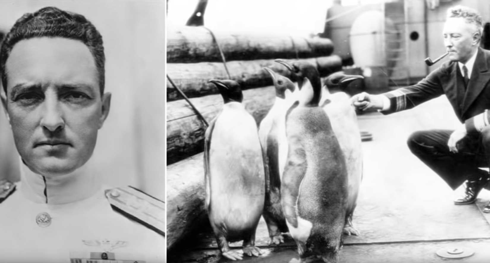 Invading Antarctica: Secret South Pole Colony – ROBERT SEPEHR