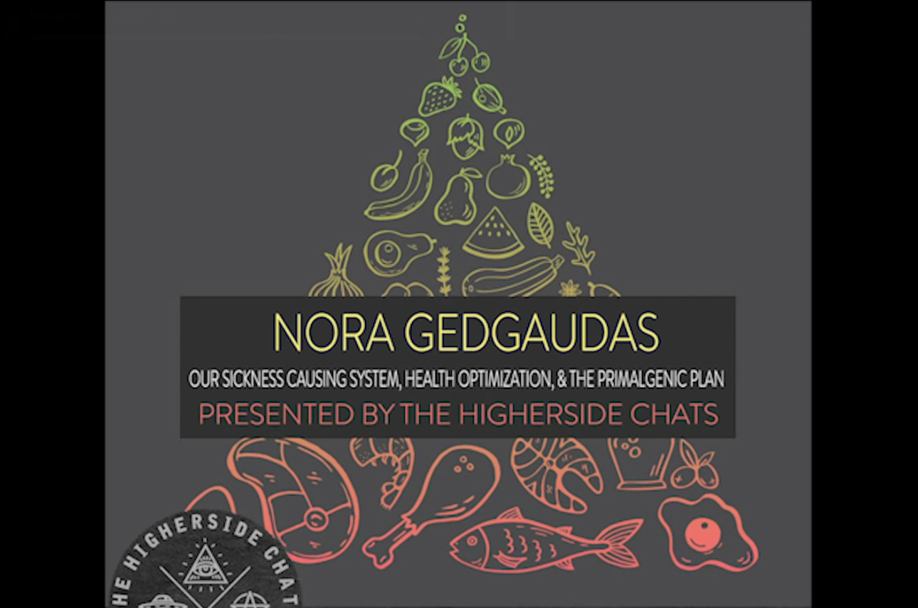 Nora Gedgaudas | Our Sickness Causing System, Health Optimization, & The Primalgenic Plan
