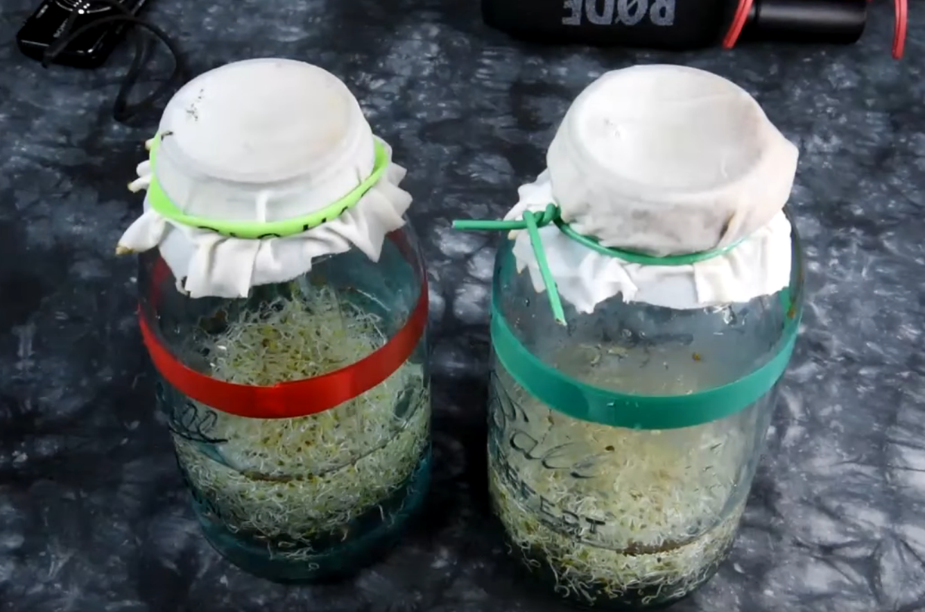 Absolutely Amazing! Magnetic bio-growth effects! Never seen before in video