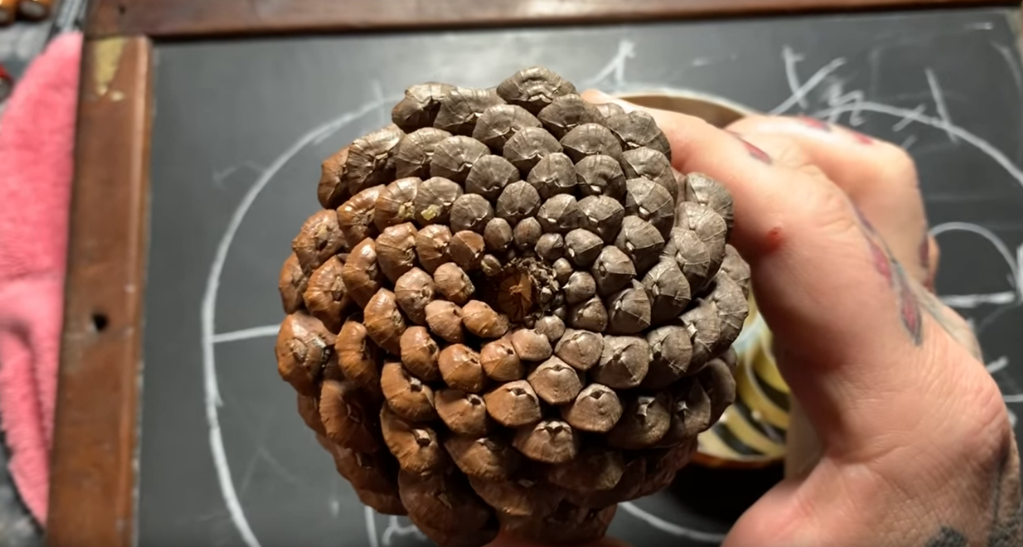 Secret Geometry of NATURE & its meaning