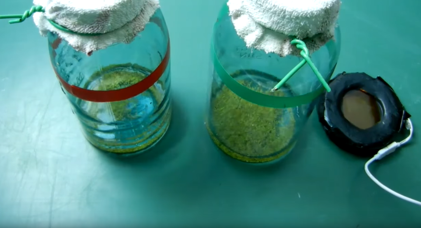 VIDEO 3 Magnetic seed exposure experiment. Magneto-dielectric PHASE SHIFT discovery