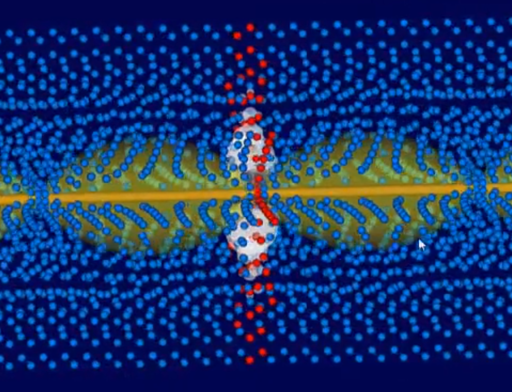 An Aether Model of Electricity : The Missing Secret of Magnetism