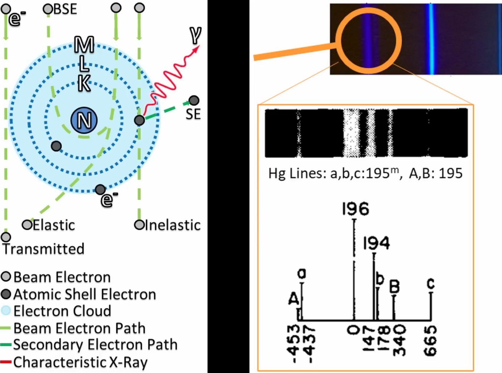 Cracks in the Nuclear Model: Surprising Evidence for Structure