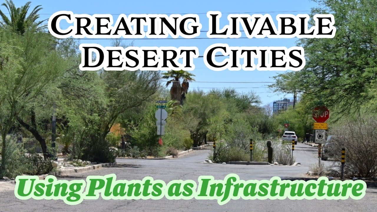 Harvesting Rainwater with Brad Lancaster: How to Create Livable Desert Cities  (Part 1 of 4)