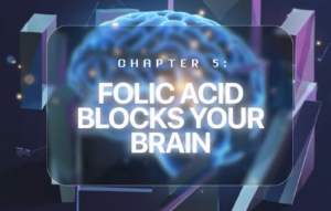 The Folic Acid Brain Problem No One Explains