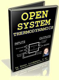 Open System Thermodynamics